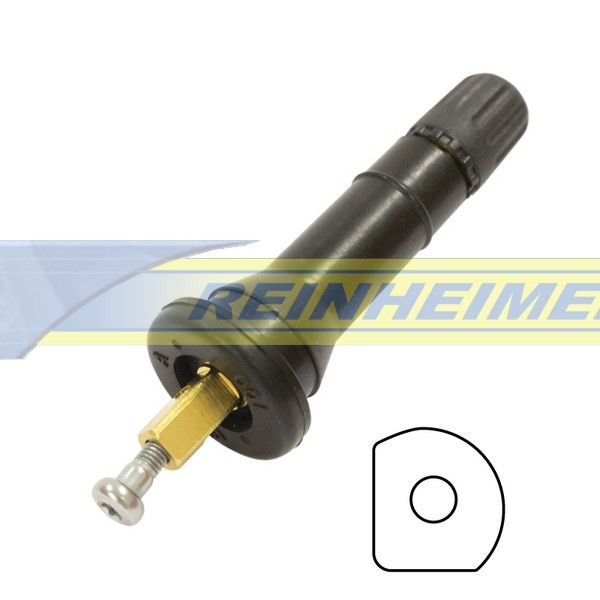 TP-SV-6-210H, 5033 SCHRADER VPE/10